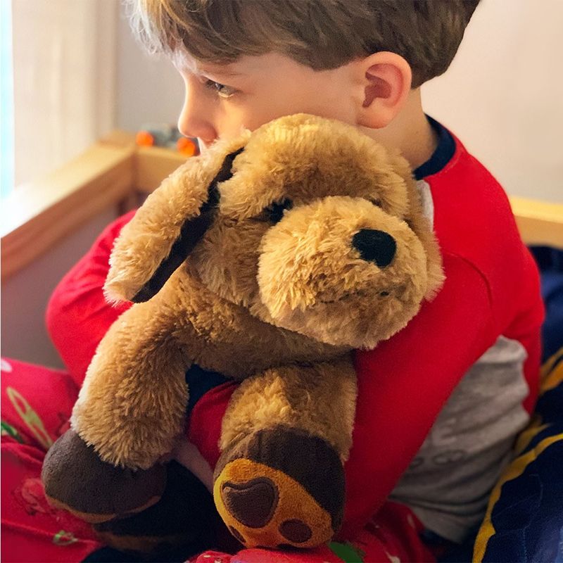 Roylco® Theo the Therapy Dog