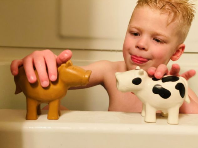 Barnyard Bath Pals Set