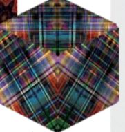 Shashibo - Disco Plaid