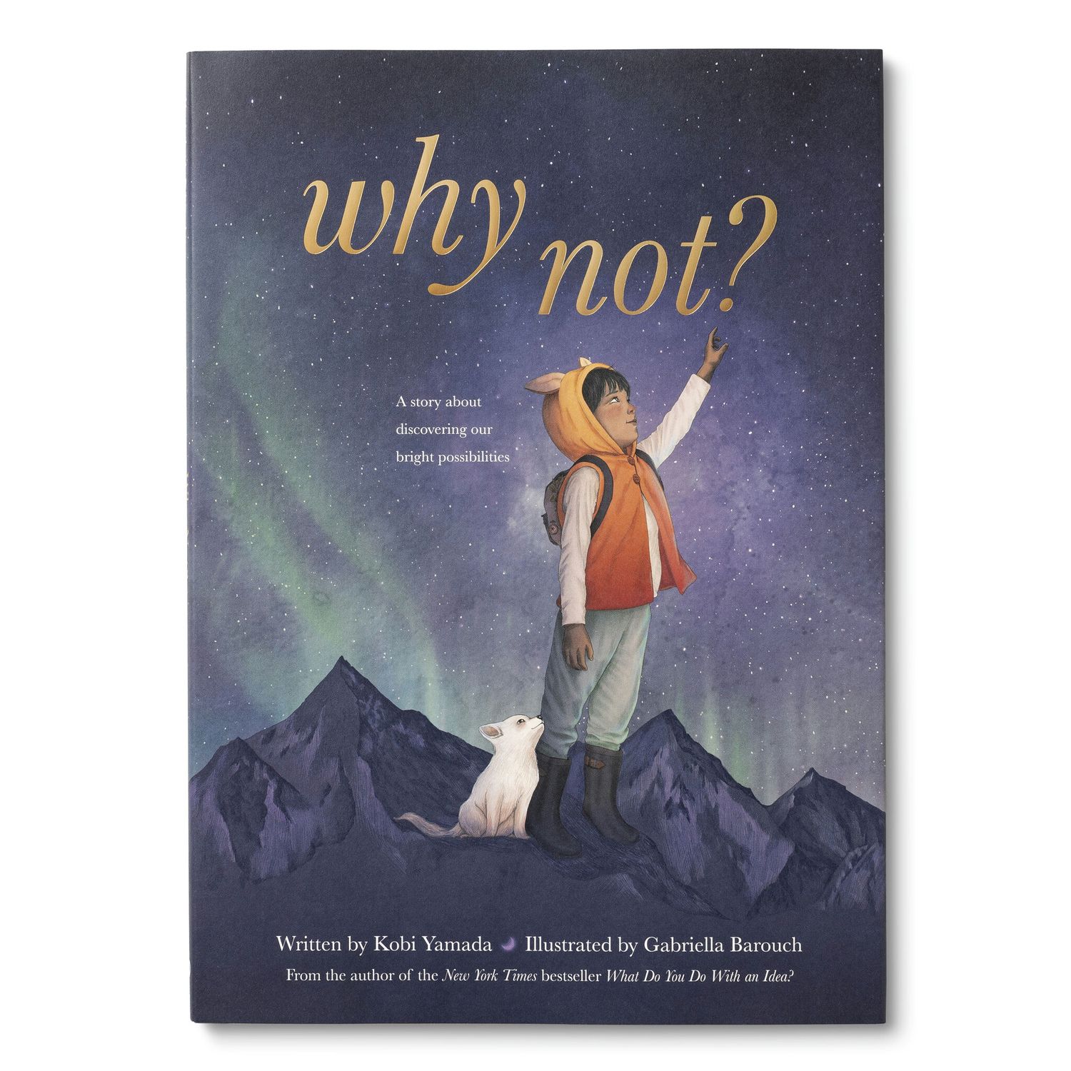Why Not? Hardcover