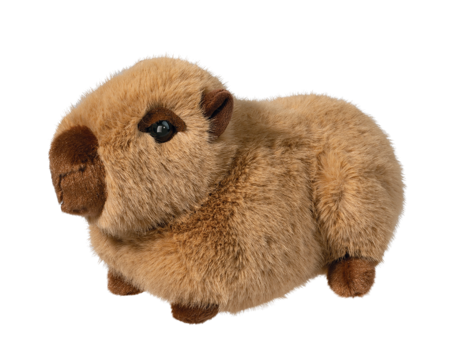 Chattie Capybara Soft 10&quot;