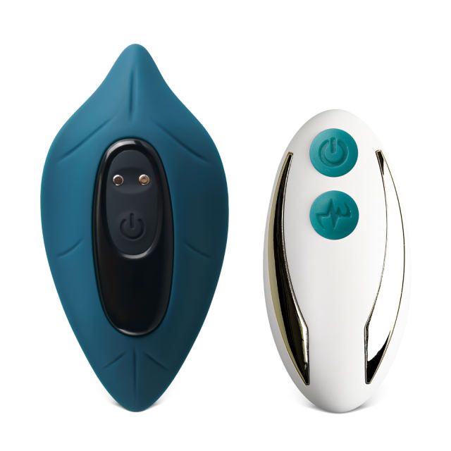 Remote Control Leaf Shape Vibrator
