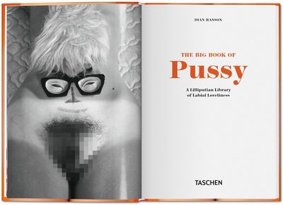 The little big book of Pussy