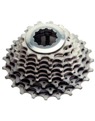 9-Sp