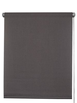 Roleta Standard Screen kolor 210