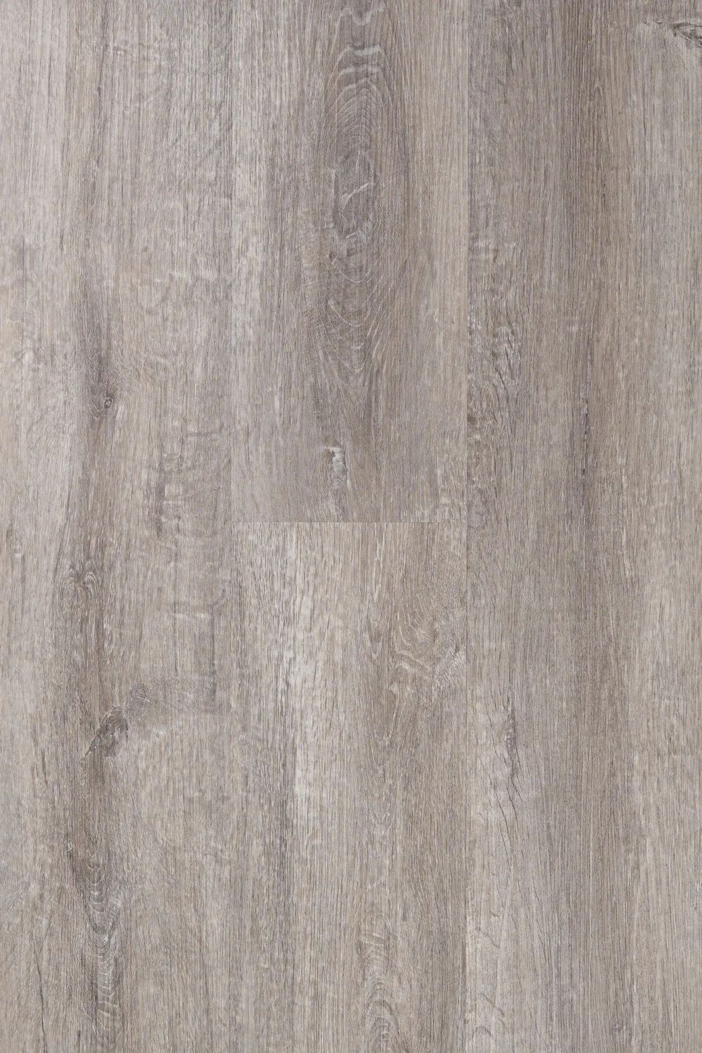 Panele winylowe SPC 5mm REGINA EGIBI Wodoodporne z podkładem