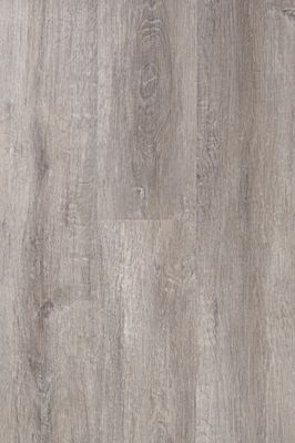 Panele winylowe SPC 5mm REGINA EGIBI Wodoodporne z podkładem