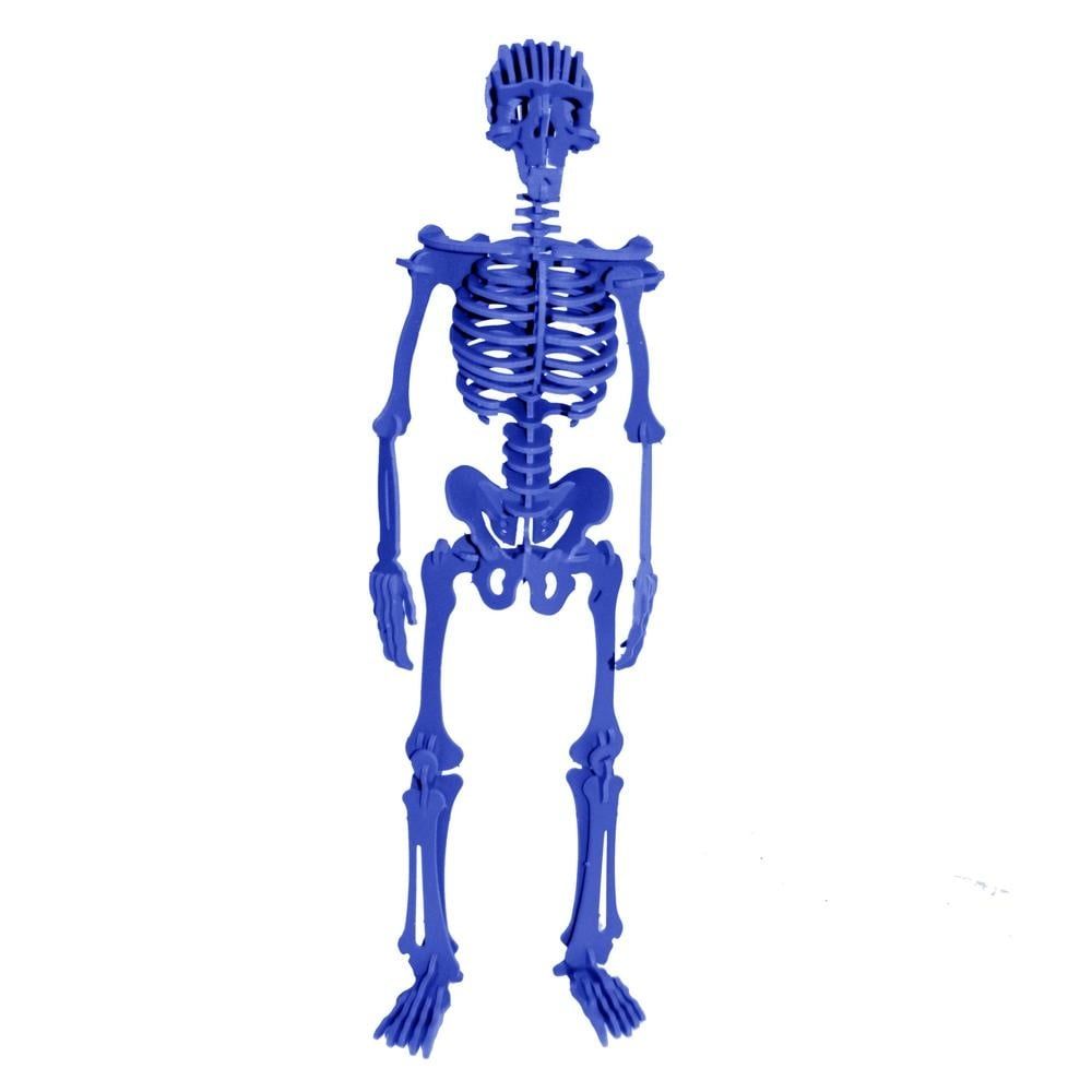 Homo Sapiens 3D Puzzle Blue