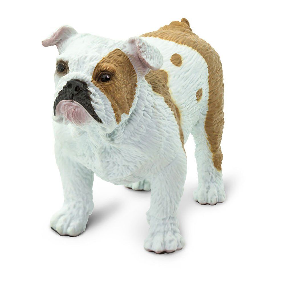Bulldog