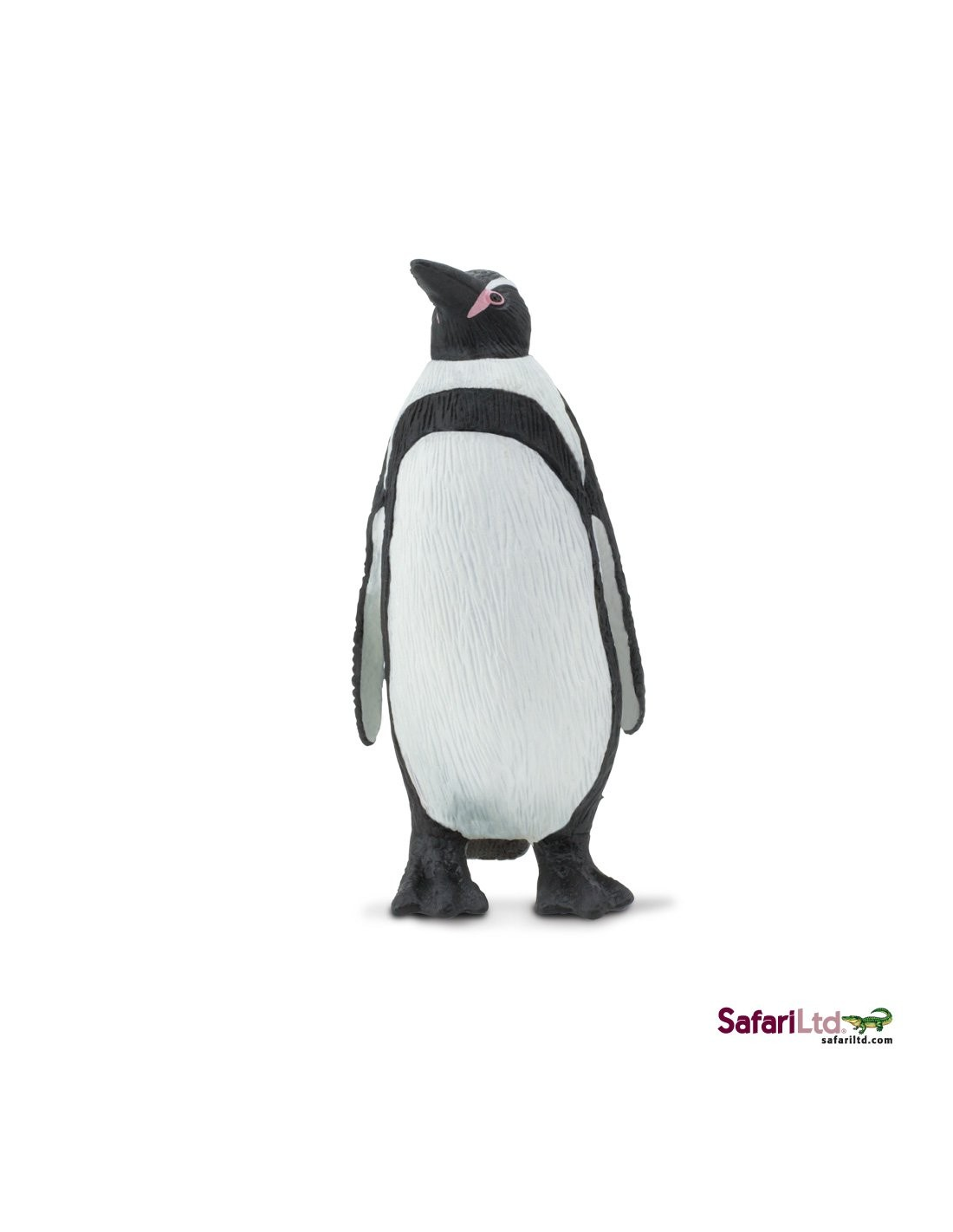 Humboldt Penguin