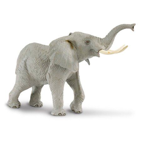 AFRICAN ELEPHANT