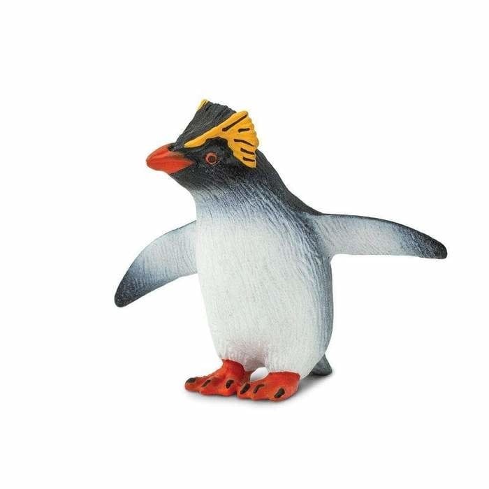 Rockhopper Penguin