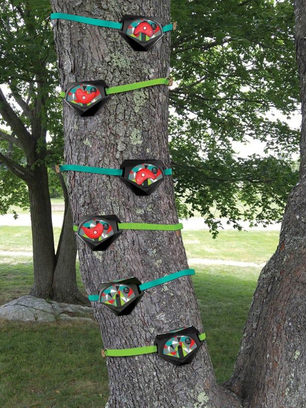 Slacker Tree Climbers