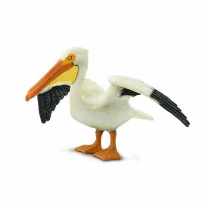 Pelican