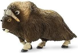 Musk Ox