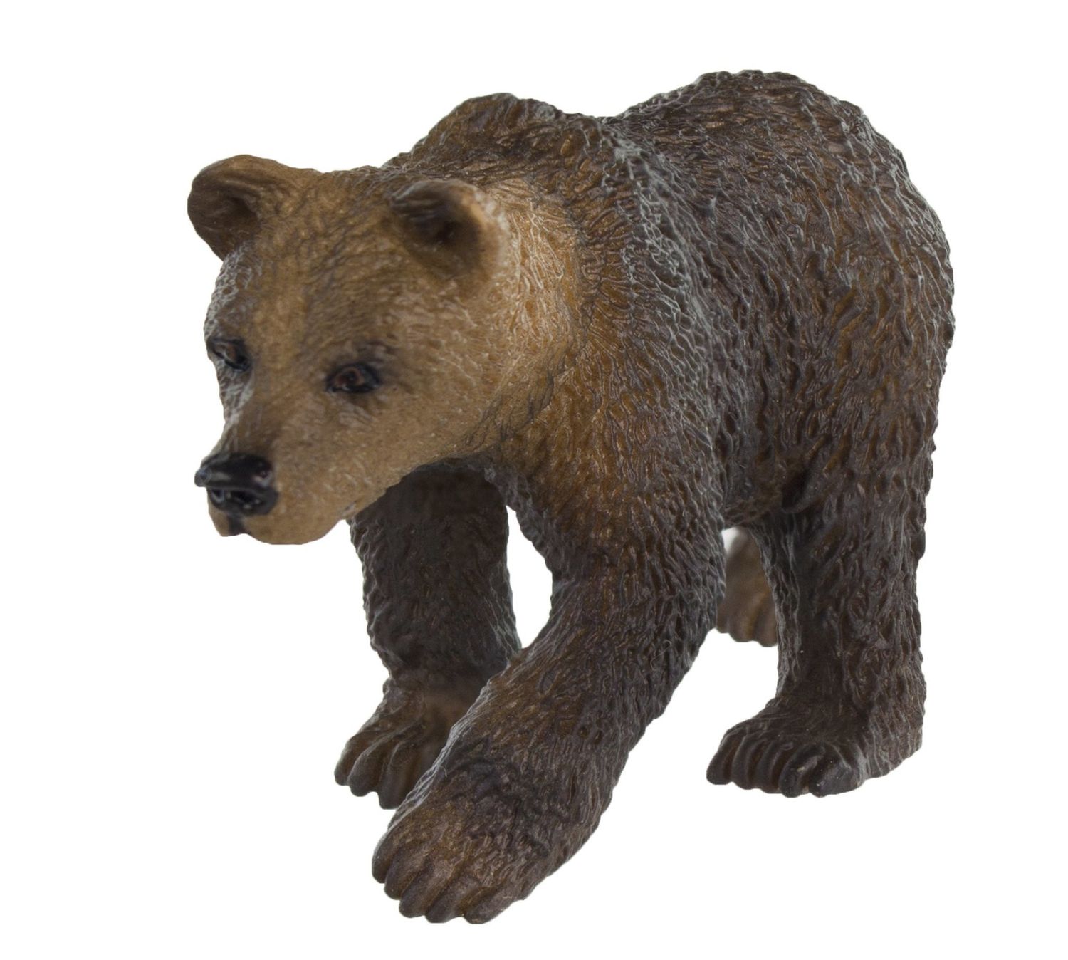 Grizzly Bear Cub