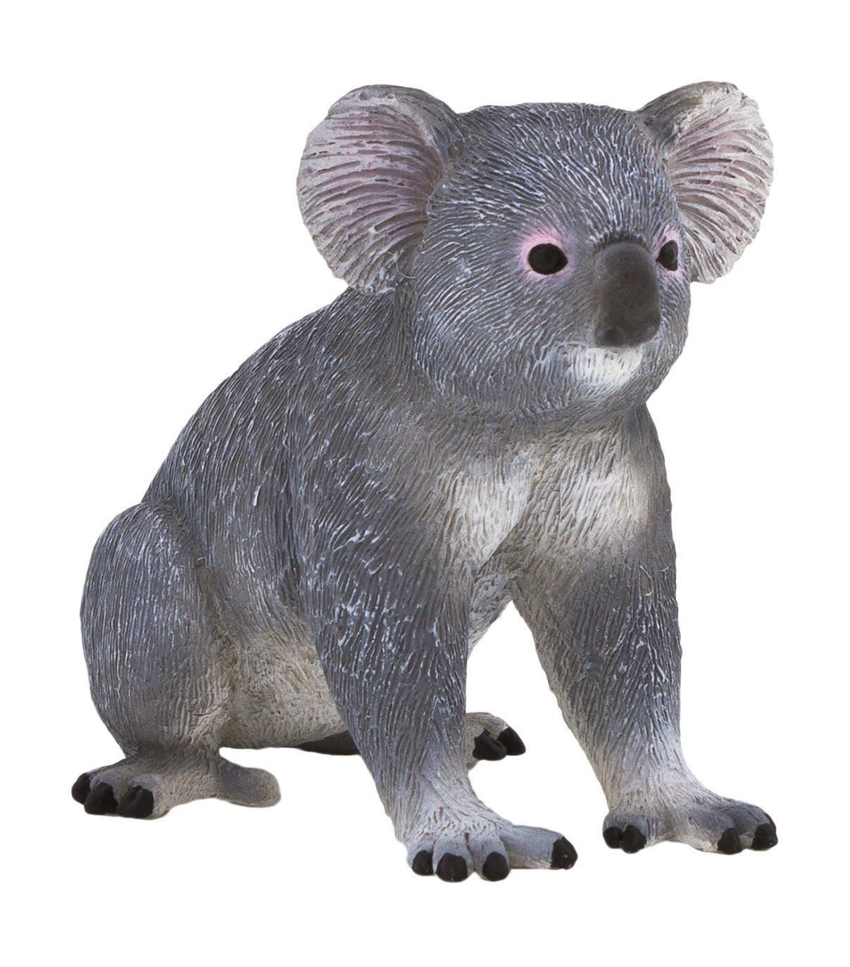 Koala Bear
