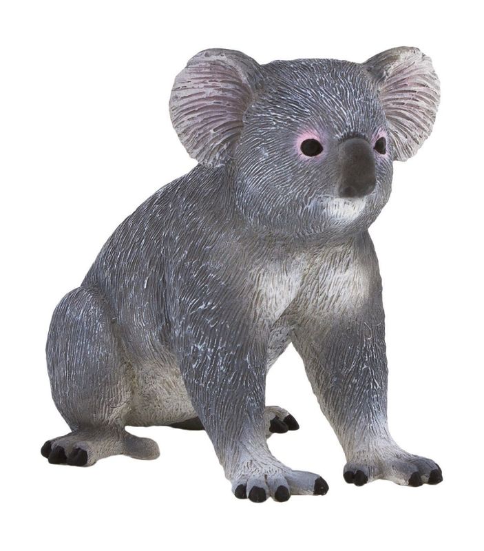 Koala Bear
