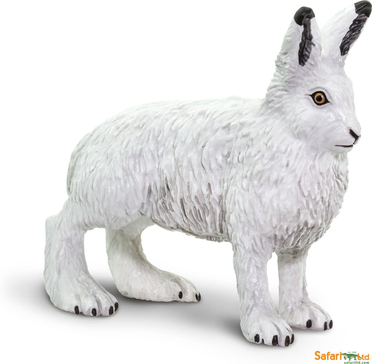 Arctic Hare