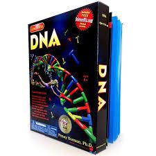 DNA