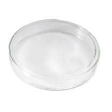 Single Petri Dish