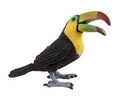 Toucan