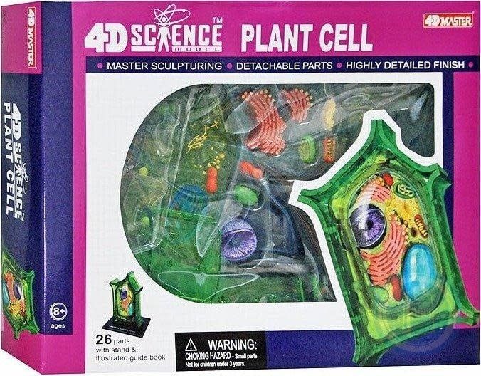 4D Plant Cell Anatomy