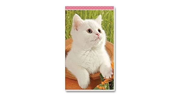Bridge Tallies Kittens