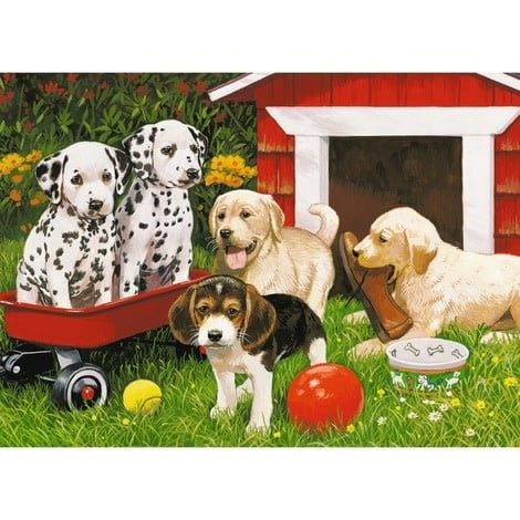 Puppy Party 60 pc