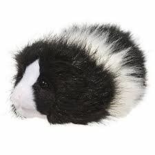 8&quot; Angora Guinea Pig