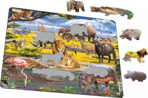 Savannah 43 pc