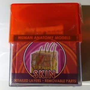 Skin Bio Signs