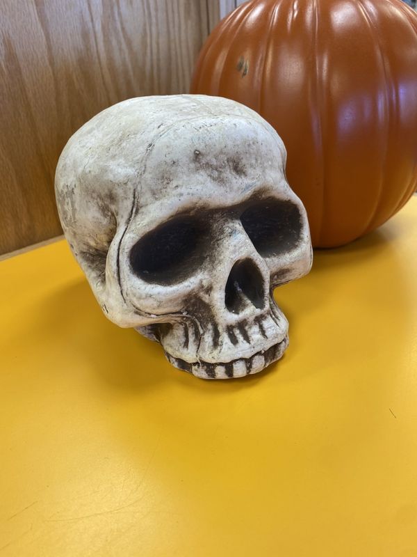 Decor Skull