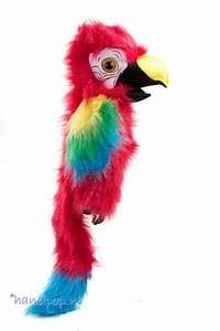 17&quot; Amazon Macaw