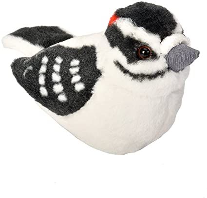 5" Downy Woodpecker
