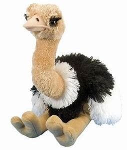10&quot; Ostrich