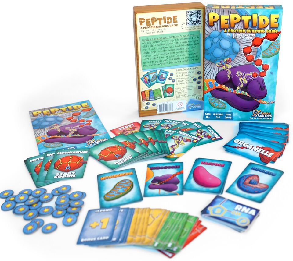 Peptide- A Protein Building Game