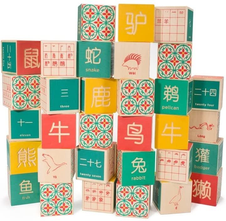 Chinese Alphabet Blocks
