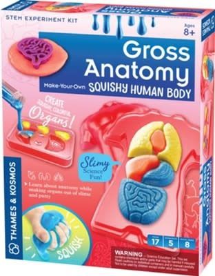 Gross Anatomy: Squishy Human Body