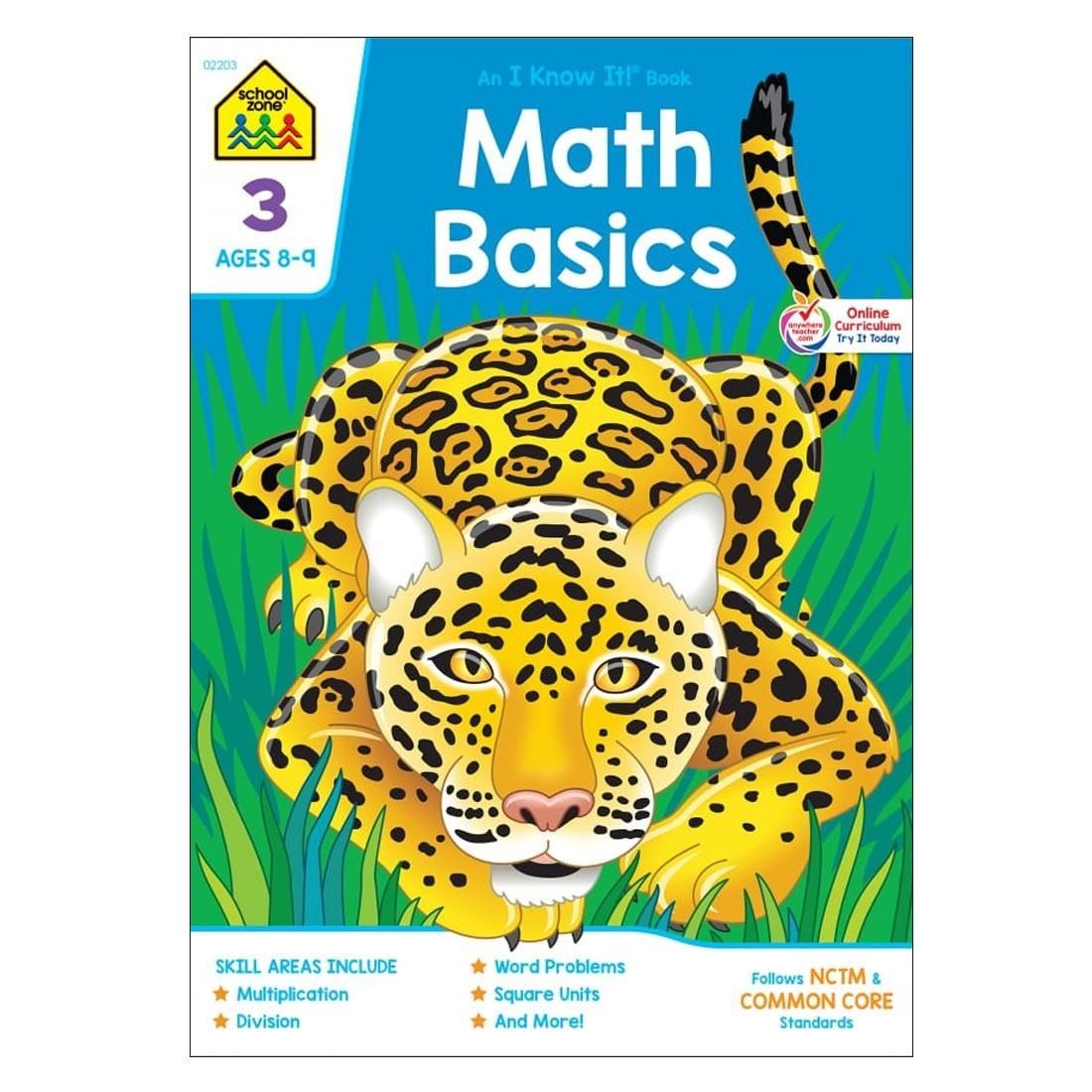 Math Basics 3rd grade