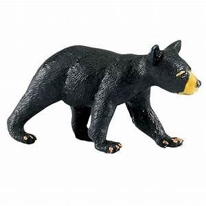 Black Bear Cub