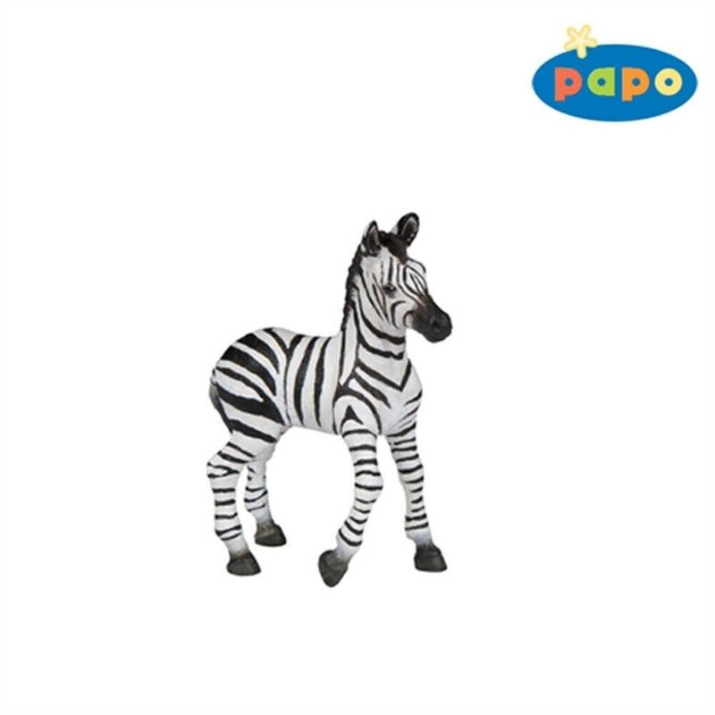 Zebra Foal