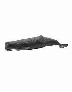 Sperm Whale