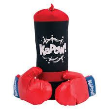 Punching Bag and Glove Set