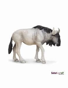 Blue Wildebeest