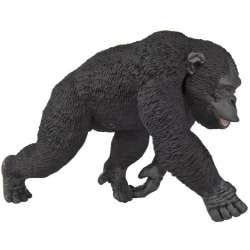 Chimpanzee