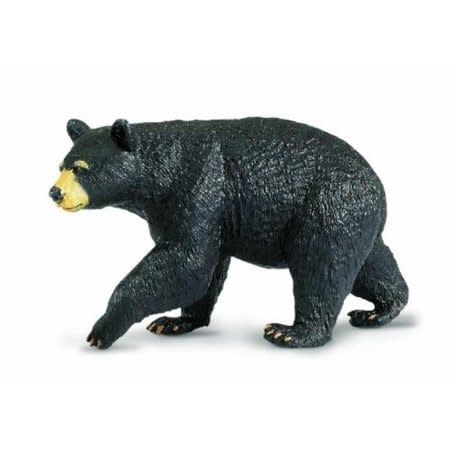 Black Bear