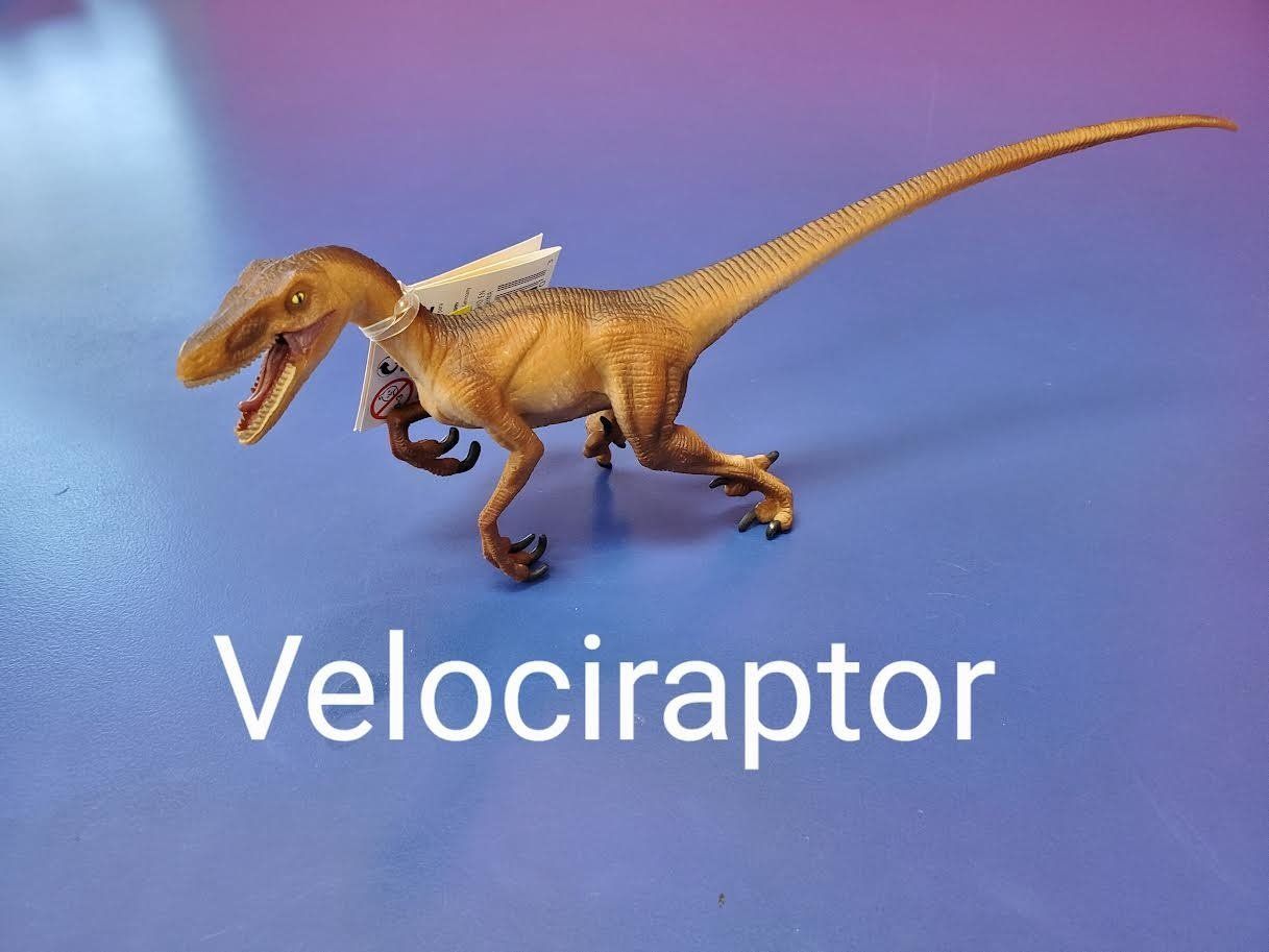 Velociraptor