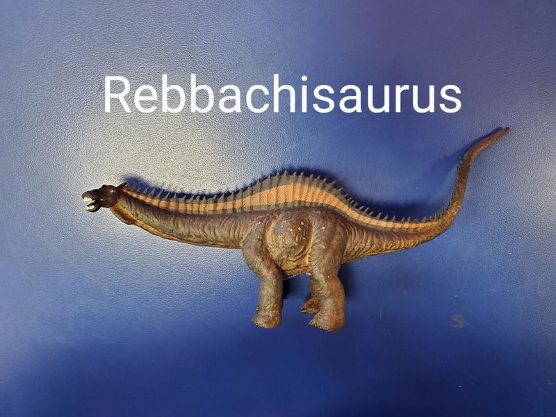 Rebbachisaurus