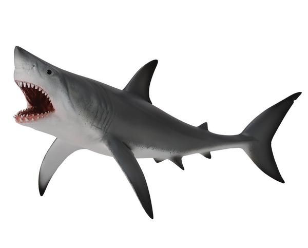 Great White Shark